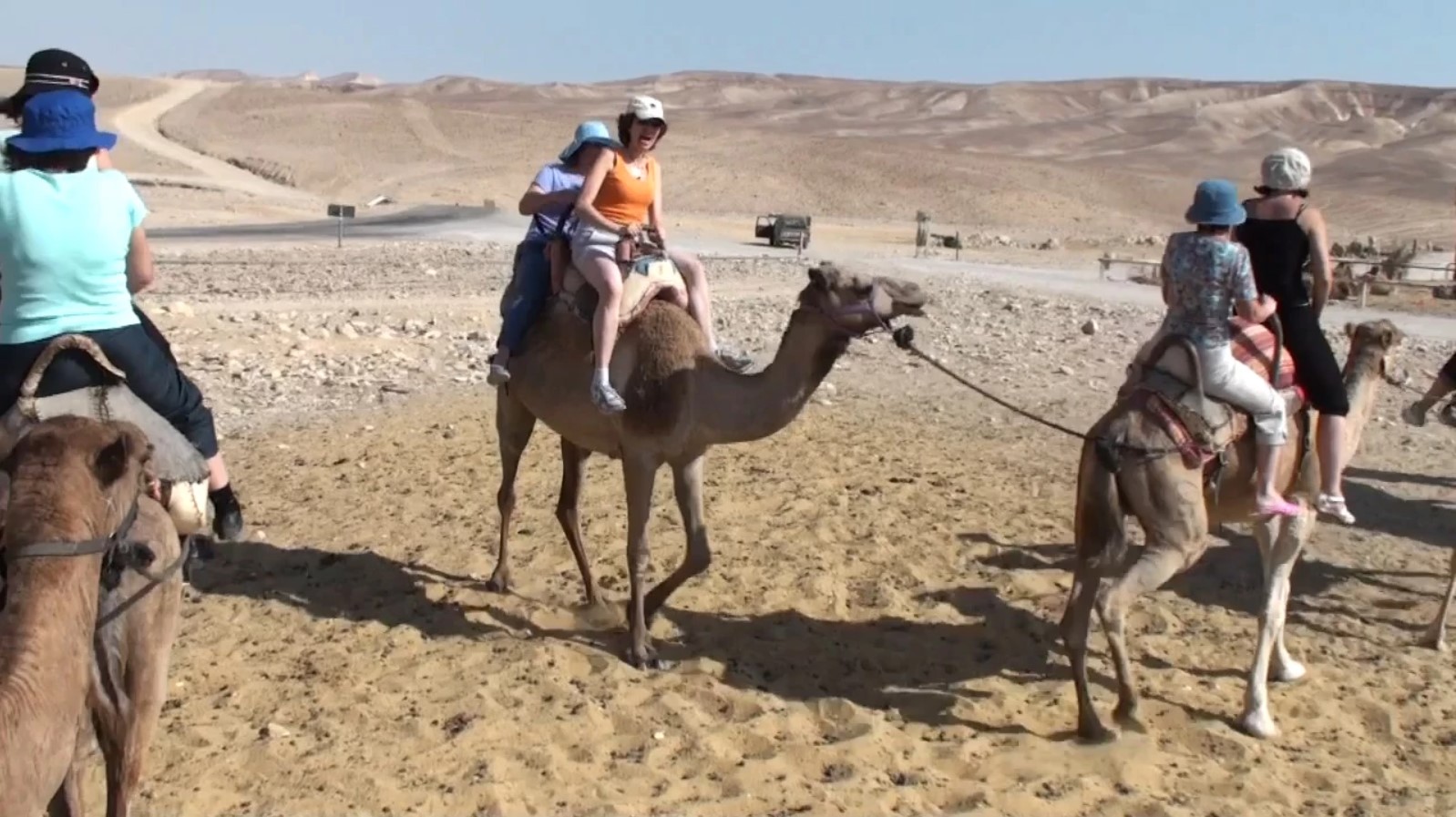 Тур по Местам Силы в Израиле. Бедуины и Верблюды